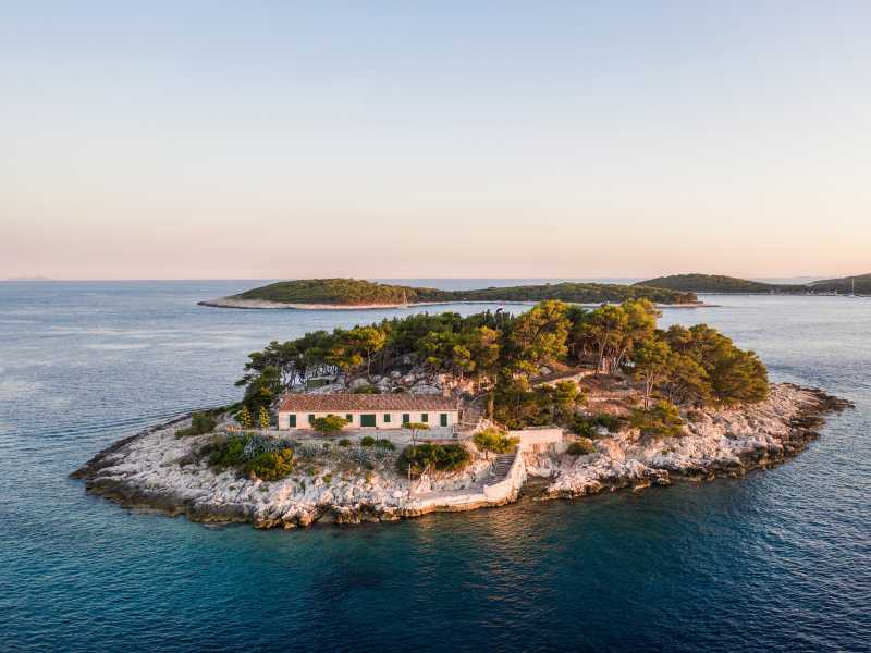 Reputation Management and Team&nbsp;Management